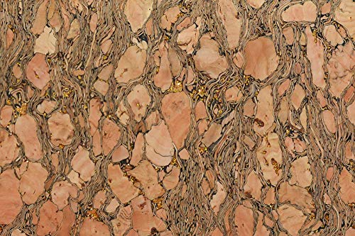 Korkstoff Meterware 75 x 140cm Kork Natur Korkleder vegane Leder Alternative, Variante:Variante 3