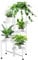 iDavosic.ly 5 Tier Metal Plant Stand for Indoor Outdoor, Corner Tiered Plant Shelf for Multiple Plants, Foldable Tall Flower Holder Display Rack for Living Room Garden Patio Balcony, White