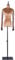 Schneiderpuppe Samt Kleid Form weibliche Büste Schaufensterpuppe Torso, höhenverstellbare Mädchen Schaufensterpuppe, Modeschmuck Schaufenster (Color : Brown, Size : with arms)