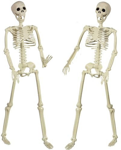 SIFOEL 90cm Halloween posable Esqueleto de Cuerpo Completo con articulaciones móviles para Halloween al Aire Libre de Interior jardín casa Patio Decoraciones (2Piezas)