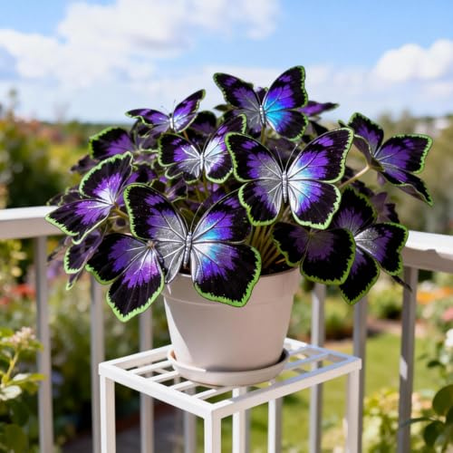 Bulbos de hosta&Horquilla de jade con forma de mariposa&perenne&buena para jardines,decoración interior y exterior-4tubérculos-B