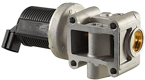 HELLA 6NU 010 171-401 AGR-Ventil - elektronisch - 2-polig - mit Dichtungen