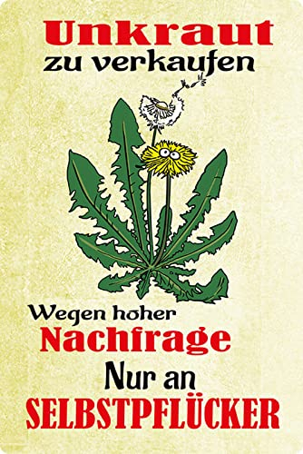 Metall Schild 20x30cm Unkraut zu verkaufen Spruch Sprüche Blechschild