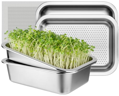 Juego de 2 brotes de cultivo de acero inoxidable para brotes, 26 x 19 cm, bandeja de cultivo de semillas, set de cultivo de berros, cuenco para brotes, cupones de semillas para brotes, microgreens