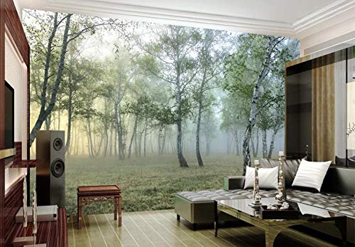 Papier Peint 3D Intissé Forêt De Jour De Brume Verte Papier Peint Panoramique 3D Moderne Decoration Murale Chambre Salon Décoration Murale 300cmX210cm