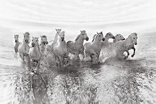 Papier Peint Photo INTISSÉ-CHEVAUX-300x223 cm-(6469AE)-Nature Cheval Poney Lac Plage Animaux Art photographique Colle Inclus Mural Décor Motif Poster Géant Stickers Muraux Optique Moderne Fond Effet