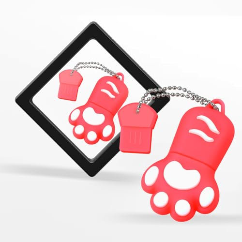 DONWEI USB-Sticks, 64GB Speicherstick, USB 2.0 Flash-Laufwerk, USB Flash Drive mit Geschenk-Box, externer Speicher (Rosa)