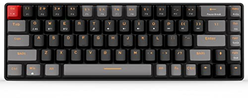 Qisan Mechanical Wireless Keyboard Gaming Keyboard Red Switch Mini Design (60%) 68 tasti layout US grigio e nero