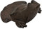 Woodside Heavy Duty Cast Iron Decorative Frog/Toad Door Wedge Stop, Doorstopper/Jammer, Fun Novelty Design