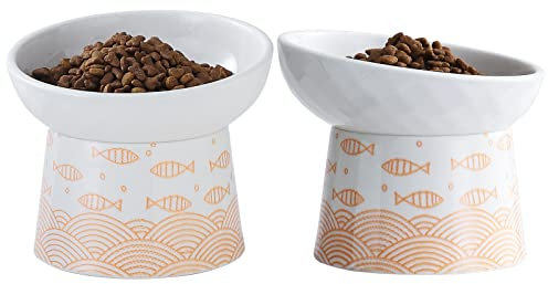 OMAYKEY Elevated Cat Bowls, 8 Oz Ceramic Raised Tilted Cat Food Water Bowl, Anti Vomiting and Protect Pets' Spines Dishes for Cat, Small Dog and Kitten, Orange, 2 Packs