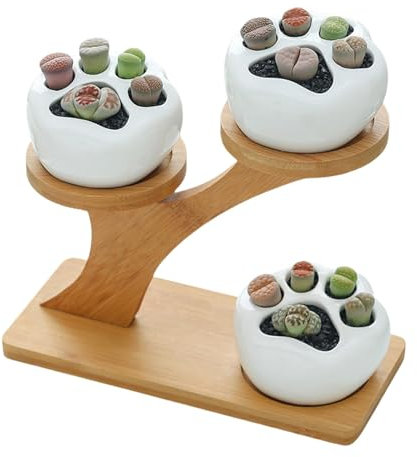 Qikam Macetas suculentas con Drenaje,Maceta para Plantas suculentas | Pequeña Maceta de Cactus suculentas | Macetas de cerámica para jardín suculentas, macetas para Interior, Maceta pequeña de Cactus