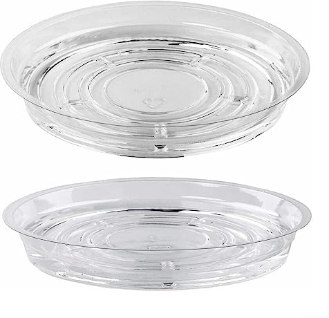 Lot de 10 soucoupes transparentes pour pot de fleurs d'intérieur ou d'extérieur