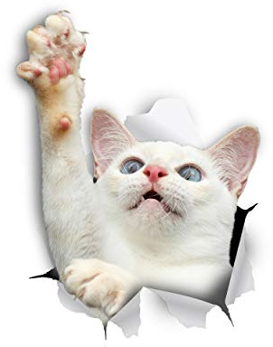 Winston & Bear 3D Cat Stickers - 2 Pack - White Reaching Cat Decals for Wall, Stickers for Bedroom - Fridge - Toilet - Room - Retail Packaged