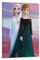GUCII Frozen Anna and ELSA Leinwand Kunst Poster und Wandkunst Bilddruck Moderne Familienzimmer Dekor Poster 08x12inch(20x30cm)