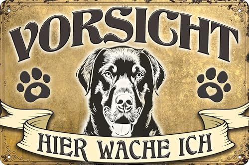 30 x 20 cm wetterfestes Hunde Blechschild, Warnhinweis, Torschild, Farbe Gold, Vorsicht - Hier Wache ich! (Labrador)