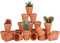 Awsuc Set di 28 Vasi da Fiori 5.5cm,vasi per Piante Vaso in Terracotta in Ceramica con Foro di drenaggio per Interni, Piante da Esterno, Artigianato, Matrimonio