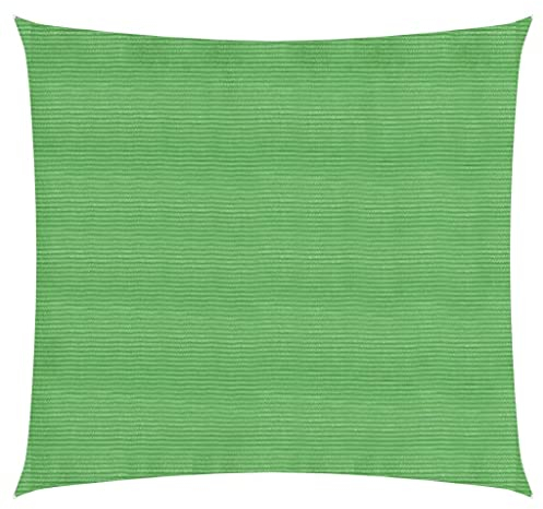 vidaXL Voile d'ombrage 160 g/m² Vert Clair 3x3 m PEHD, Voile de Parasol, bâche de Parasol, écran Solaire, voiles de Parasol, bâches de Parasol