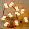 Einhorn Lichterketten,Led Lichterkette Batterie,LED Lichterkette Einhorn Design,Lichterkette Außen Batteriebetrieben,LED Lichterkette Einhorn Design Batteriebetrieben Deko für Garte