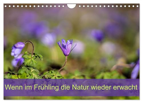 Wenn im Frühling die Natur wieder erwacht (Wandkalender 2026 DIN A4 quer), CALVENDO Monatskalender: Der Frühling ist der Beginn von etwas ganz Großem. (CALVENDO Natur)