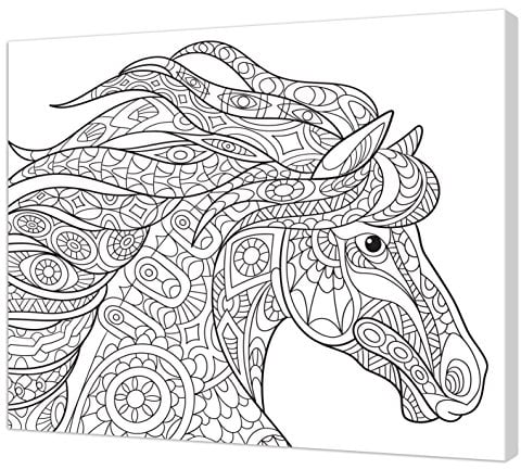 Pintcolor 7162.0 Rahmen mit bedruckter Leinwand zum Ausmalen, Holz, weiß/schwarz, 50x40x3.5 cm