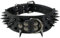 Collar de Perro Collares de Cuero Acolchados Lujosos con Tachuelas Afiladas para Perros Medianos Grandes Collar 5cm de Ancho Anti Mordiscos XS,Nr-Nr