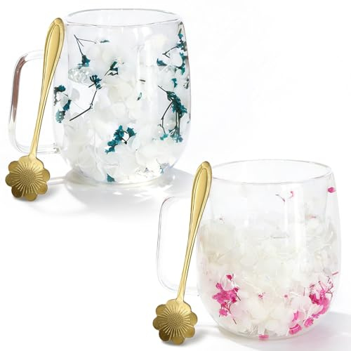 Richaa 2pcs Dried Flowers Double Walled Glass Mug with Handle - 350ml Cappuccino Cup Double Walled Coffee Mug Latte Glass Coffee Mug Coffee Glass Gifts for Women(with Spoon)