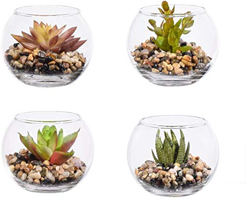 4 pack Fake Succulent Plant Artificial Potted Plants,indoor plants decor Mini Plastic Succulent with Clear Round Glass Planters Artificial Plants in Pots Fake Flowers Greening for Home,Office