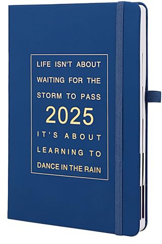 Euleryoo 2025 Tagesplan, Täglicher Zeitplan12 Monate 2025, 2025 Buchkalender Hardcover mit Platz für Notizen, Weicher Abdeckung und Elastischem Verschluss, Blau (21 x 14 cm)