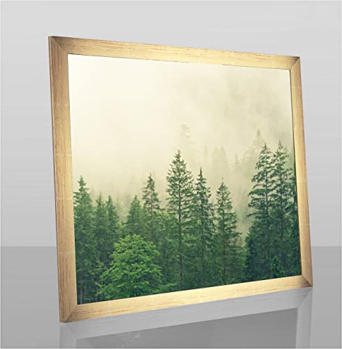 Monaldo Deluxe Bilderrahmen Posterrahmen 70 x 60 cm Farbe Gold Glanz Wechselrahmen weisser Hintergrund klares Kunstglas
