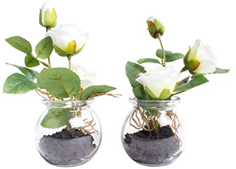 Nova-Nature künstliche Rosen im Glas (2 Stück) (Creme-weiß)