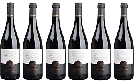 6x 0,75l - 2024er - Terre di Campo Sasso - Appasimento | Puglia I.G.P. - Apulien - Italien - Rotwein halbtrocken