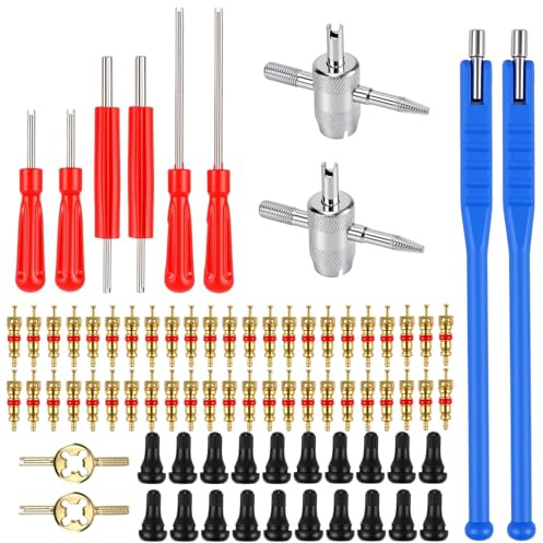 HEIYUET 94 Stück TR412 Reifenventil Werkzeug Set, Ventileinsatzentferner mit 30 Ventileinsätzen, Ventilkern Werkzeug, Autoventil Schlüssel, Reifenventilentferner Ventil Reparatur für Auto, Motorrad
