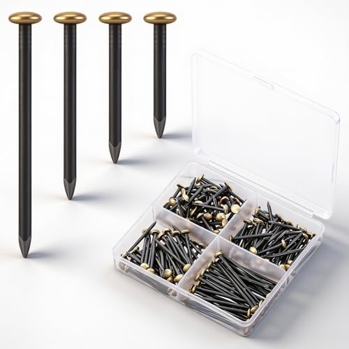 Zourglow 180 Piezas Clavos Dorados de Acero Inoxidable 20/25/30/40 mm | Clavos para Pared sin Taladrar, Clavos Cuadros para Hormigón, ladrillo, Madera, Pladur, con Caja de Almacenamiento
