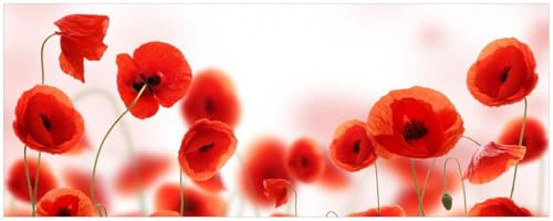 Wallario Küchenrückwand selbstklebend 115 x 50 cm, Motiv: Leuchtende Mohnblumen - Rote Mohnblumenblüten | Spritzschutz abwischbar & pflegeleicht