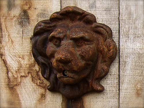 Antikas - Bec d'eau en forme de tête de lion pour fontaine murale - Fontaine - Décoration murale