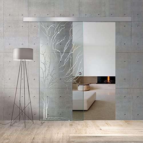 BOSS Porta Scorrevole in vetro modello TREE 60x215 cm (60/85/95 cm) 8 mm, vetro Trasparente, Nano rivestito incolore, kit hardware complete (60x215 cm, SINISTRA)