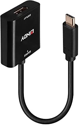 LINDY USB Type C to DisplayPort 4K144 Converter