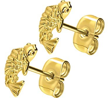 FILANGO 1 Paar Titan Ohrstecker | Koi Karpfen | Damen Ohrring Schmuck | Farbauswahl