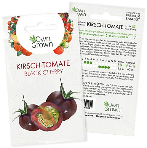 Tomatensamen Kirschtomate Black Cherry: Premium Kirschtomaten Samen zum Anbau von Tomatenpflanzen, Schwarze Tomaten Samen zur Anzucht für Balkon und Garten – 5 Gemüse Samen von OwnGrown