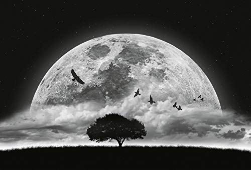 A.S. Création Fototapete - Tapete Nachthimmel Vollmond in Schwarz, Weiß und Grau - Wandtapete für verschiedene Räume - Vliestapete Wandbild XXL 384 x 260 cm