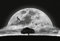 A.S. Création Fototapete - Tapete Nachthimmel Vollmond in Schwarz, Weiß und Grau - Wandtapete für verschiedene Räume - Vliestapete Wandbild XXL 384 x 260 cm