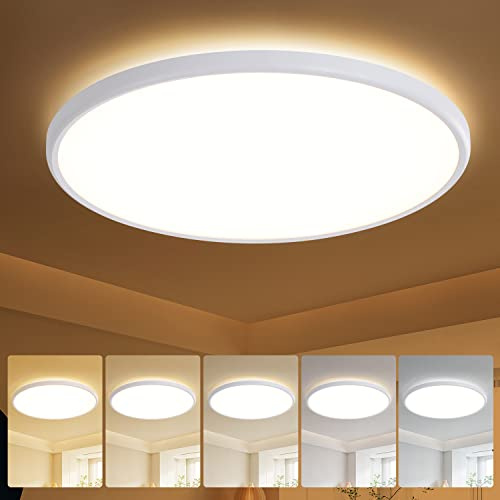 TALOYA 18 Inch Dimmable Flush Mount Ceiling Light,5 Color Temperature