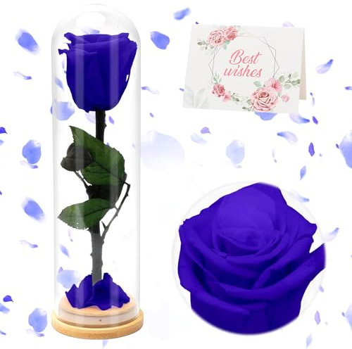 RANJIMA La Bella e La Bestia Rosa, Rosa Eterna Regalo Natale Donna, Rosa Stabilizzata Vera con Steli Idee Regalo per Anniversario,Compleanno,San Valentino Regalo per Moglie, Fidanzata, Madre, Sorella