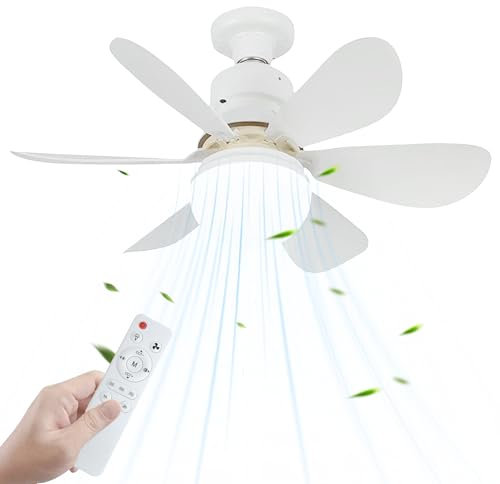 BORDEAG Ventilateur De Plafond Avec éclairage Et Télécommande, 40 W Plafonnier LED Avec Ventilateur, 3 Modes Et Vitesses Réglables, Minuterie, Lampe De Plafond Pour Salon Et Chambre