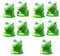 WINOMO Mini Tier Figuren Miniatur Frosch Garten Blumentopf Micro Landschaft DIY Ornamente Harz 10 Stücke