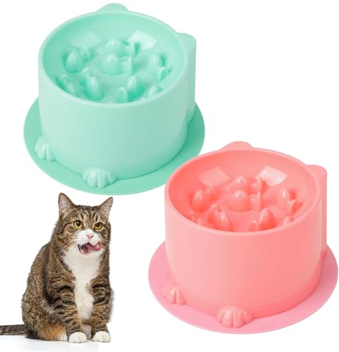 Lot de 2 gamelles surélevées pour chat avec tapis antidérapant pour chats et petits chiens, alimentation lente pour nourriture humide