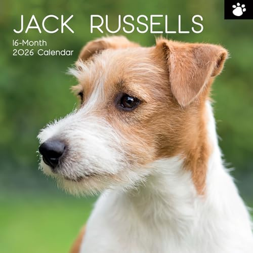 The Gifted Stationary Wandkalender 2026, quadratisch, Jack Russells, 16-monatiger Pfotenabdruck-Themenkalender mit 180 Erinnerungsaufklebern, Monatsplaner für Zuhause, kreative Räume, 30,5 x 30,5 cm