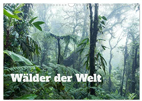 Wälder der Welt (Wandkalender 2026 DIN A3 quer), CALVENDO Monatskalender: Exotische grüne Wälder aus aller Welt (CALVENDO Natur)