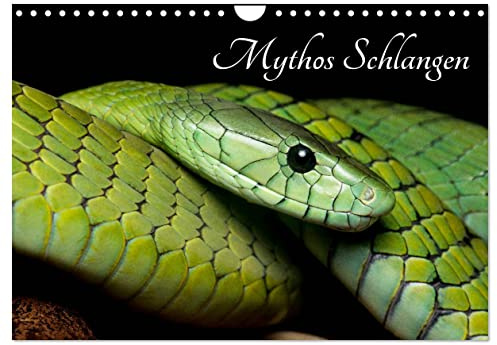 Mythos Schlangen (Wandkalender 2026 DIN A4 quer), CALVENDO Monatskalender: Die Schönheit der Schlangen. Festgehalten in eindrucksvollen Fotos. (CALVENDO Tiere)