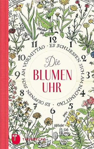 Jan Thorbecke Verlag